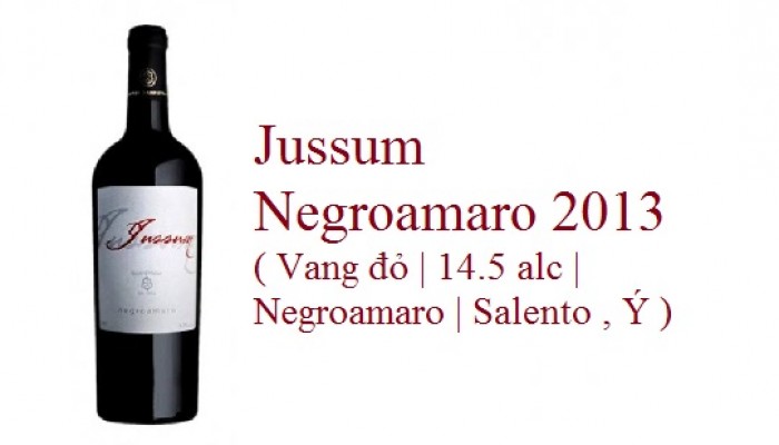 Jussum Negroamaro 2013 ( Vang đỏ | 14.5 alc | Negroamaro | Salento , Ý )