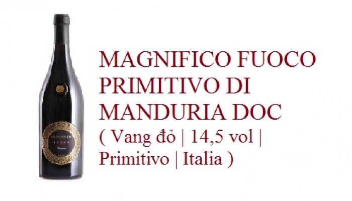 MAGNIFICO FUOCO PRIMITIVO DI MANDURIA DOC ( Vang đỏ | 14,5 vol | Primitivo | Italia )