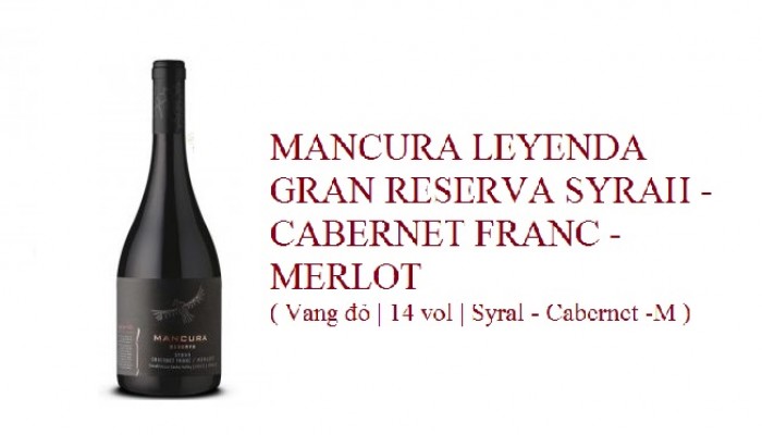 MANCURA LEYENDA GRAN RESERVA SYRAH - CABERNET FRANC -MERLOT ( Vang đỏ | 14 vol | Syral - Cabernet -M